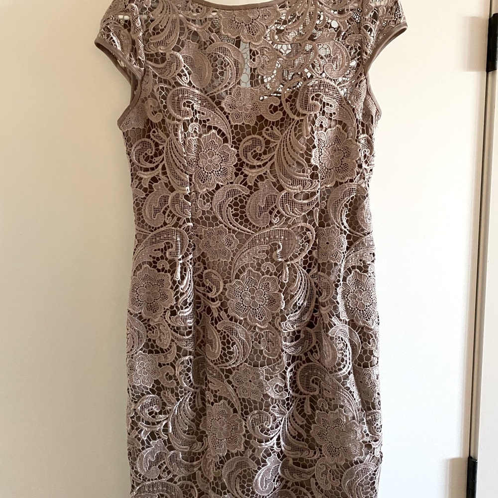 NWT Adrianna Papell Taupe Lace Dress (hits above the knee) only worn once